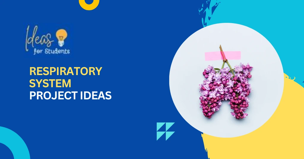 Respiratory System Project Ideas